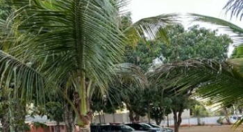Operação flagra internações ilegais em clínica de recuperação